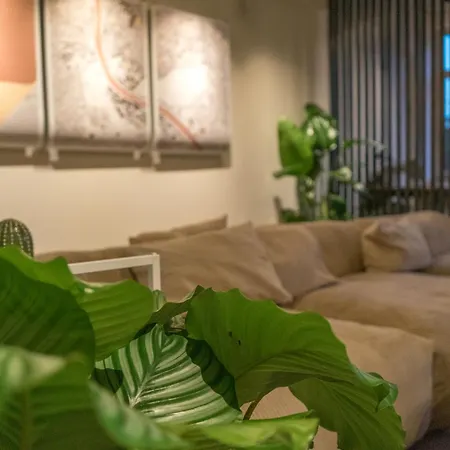 Soom I Kapselhotel 萨尔茨堡